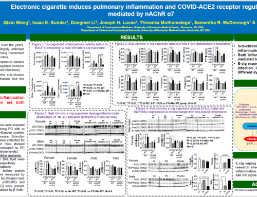Electronic cigarette induces pulmonary inflammation and COVID-ACE2 receptor regulation mediated by nAChR α7
